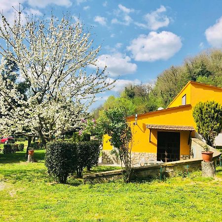 Agriturismo Pianezze Βίλα Grotte di Castro Εξωτερικό φωτογραφία