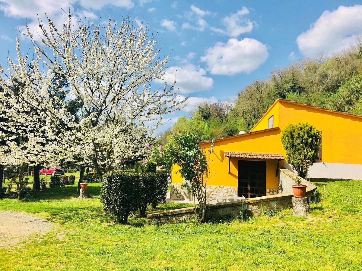 Agriturismo Pianezze Βίλα Grotte di Castro Εξωτερικό φωτογραφία